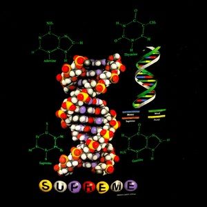 Supreme DNA Tee